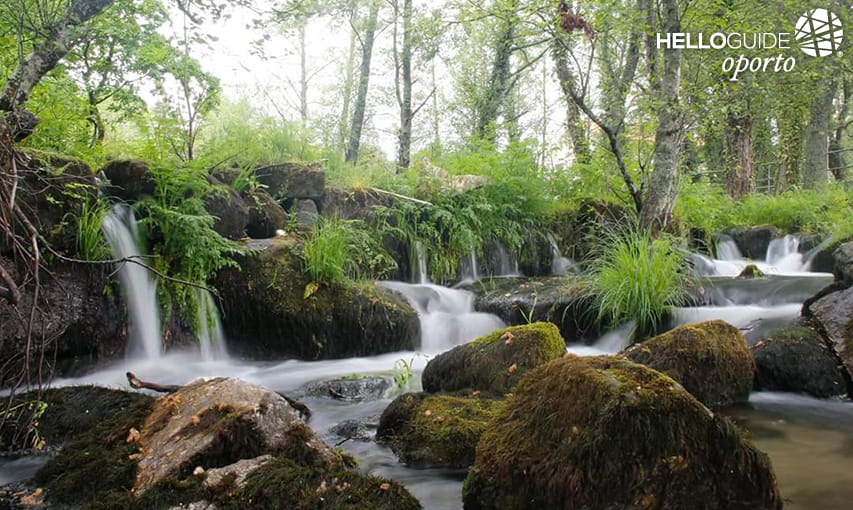 Фотографирование реки Leça
